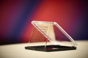 Foto_Ines_Escherich (38).jpg