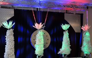 DSCN3661 (Small).JPG